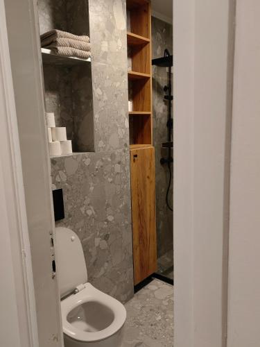 One-Bedroom Apartment image 4