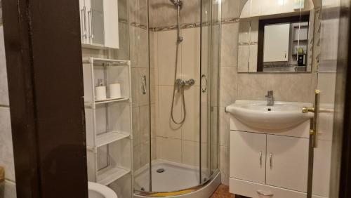 AlpinResort DerBacherhof – Niedernsill, SD