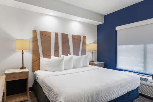 1 king bed