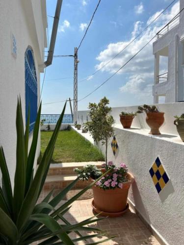 Maison fatha in Kelibia