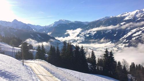 สภาพแวดล้อมโดยรอบ, Apartment Greidlerhof in โรร์แบร์ก