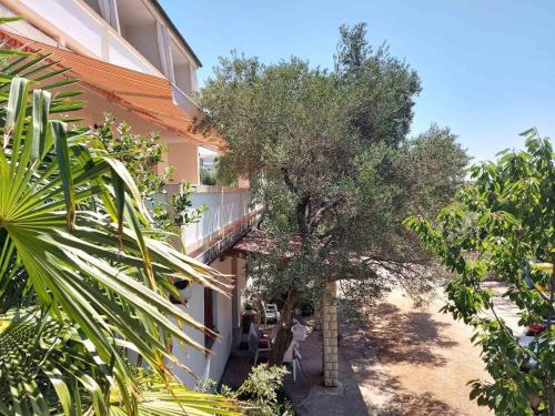 ทัศนียภาพภายนอกโรงแรม, Apartments with parking space Palit, Rab - 24108 in ปาลิต