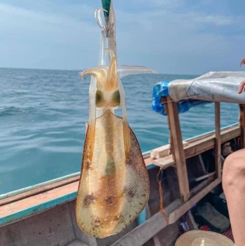 Cheng Heng Boutique - ចេង ហេង ប៊ូទិក in Chrous Pichnil