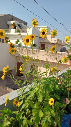 Shri Devbhoomi homestay in กัณขาล