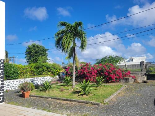 La maison Dalmatien in Baie-Mahault