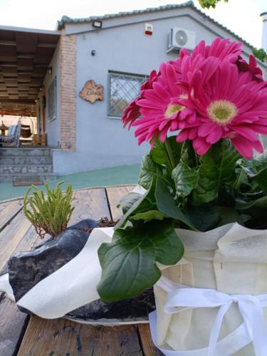 Elaia Rest House Elaia Rest House