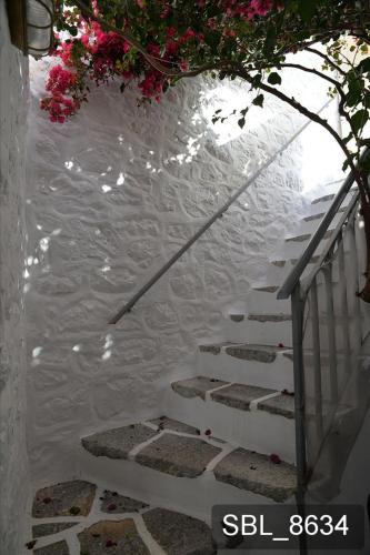 Areti, Hydra (fotografie 7)