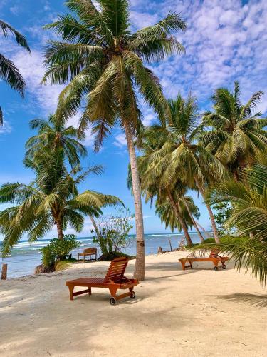 Lingkungan sekitar, Sagga Homestay in Pulau Mentawai
