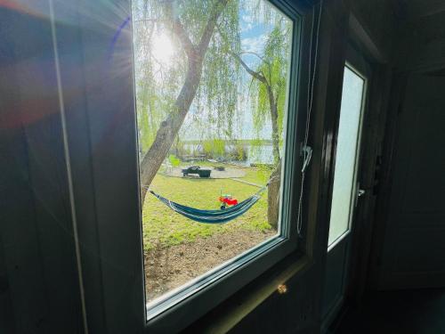 花園, Tinyhouse Snagov Lake in 喬夫利切尼