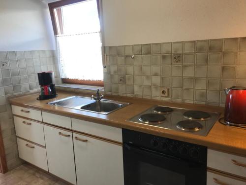 Haus am Blütenweg (Haus am Blutenweg) in Sipplingen