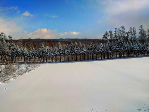 Surrounding environment, ふれあいの郷とみおか in Rankoshi