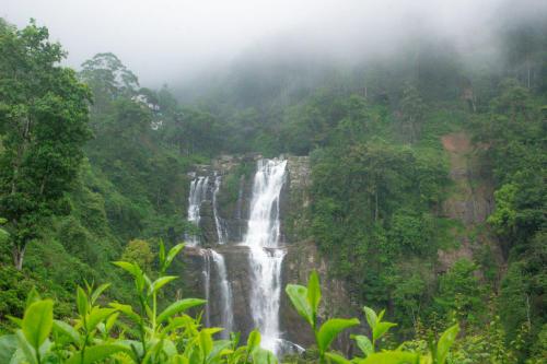 Ramboda Falls PLC - image 3
