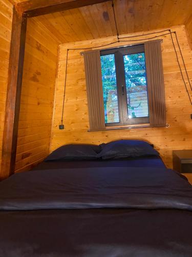 Eco – Yerevan, NY