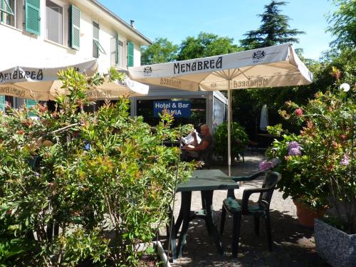 西尔维娅酒店 西尔维娅酒店