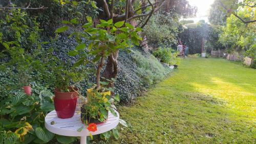 Garden, Ubytovani Na Pesine - Private Parking in Dolní Chabry