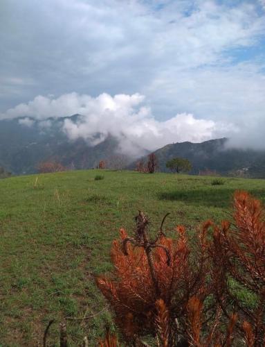 Exterior view of Plumvelly cottage