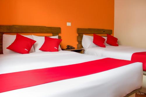 Hotel Museo Xalapa in Xalapa, Mexico