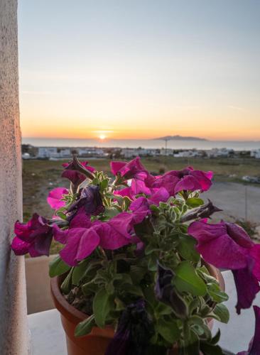 Foto - Dauti Gold Suites