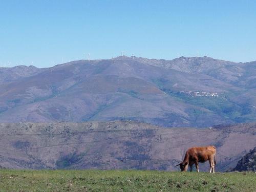 Casa do Avô Zé (Casa do Avo Ze) in กันดัล