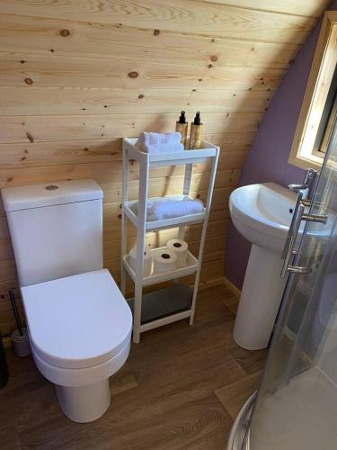 Dingle Wild - Luxury Pod, Dingle (zdjęcie 11)