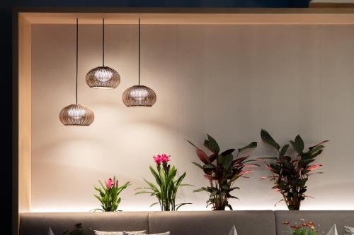 Designhotel am Stadtgarten - image 4