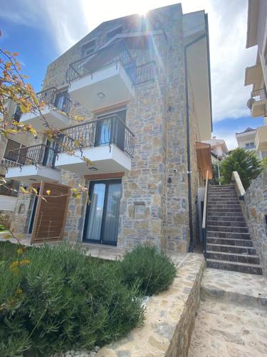 olives tree, Datça (fotografie 3)