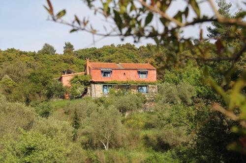 Κτήμα Άννα - Anna's farm gîte à louer Kalpakóvrakhos