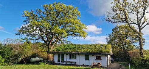 Hotelli välisilme, Buzzard's Nest Glamping Oak in Higher Wambrook