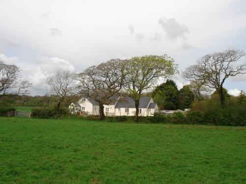The Paddock, Haverfordwest (fotografie 8)
