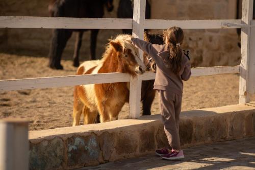AJWA Cappadocia - Preferred Hotels Legend Collection