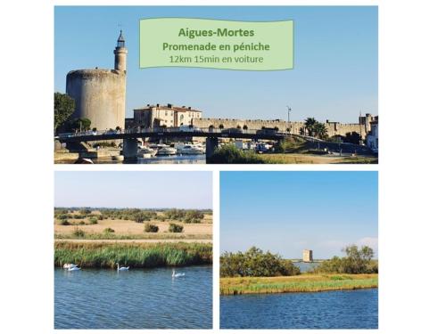 L'Anémone Roof Top Parking Clim Wi-Fi - ROSSIconciergerie - Linge inclus (L'Anemone Roof Top Parking Clim Wi-Fi - ROSSIconciergerie - Linge inclus) in Le Couchant