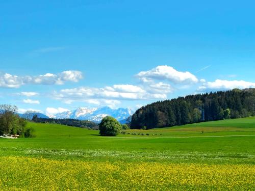 Nusseckerl Eberloh in Halfing