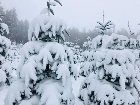 Ferienwohnung Winterberg in Winterberg, Deutschland