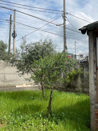 Kalpazo Tirana Vila 313, Tirana (photo 9)