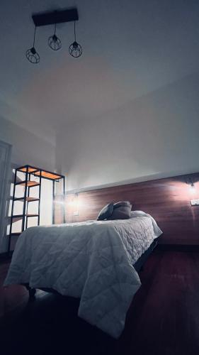 Alpha House Hostel II in Salta