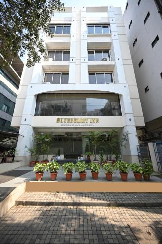 Hotel Blueberry Inn, Raipur  photo 5