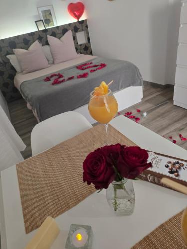 Studio-Valentine climatisee avec piscine chauffee in Saint-Marcel