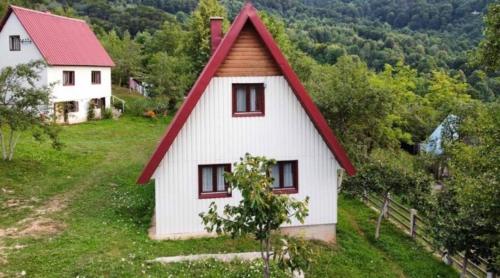 Ethno Cottage Momo Tepca in โคเลซิน