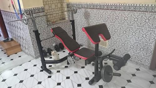 . Très alaise