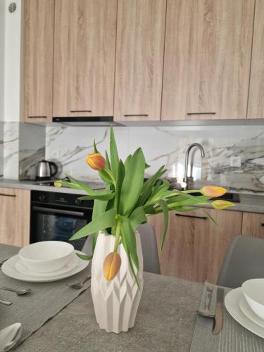 Apartament Jagiełły Park Olsztynek