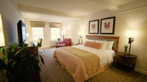 Deluxe Room - King room in San Carlos Hotel