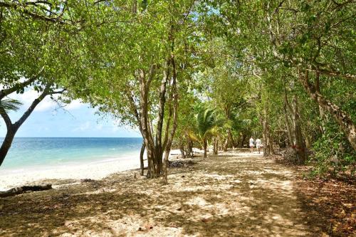 playa, Manou in Riviere-Pilote