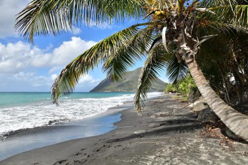 playa, Manou in Riviere-Pilote
