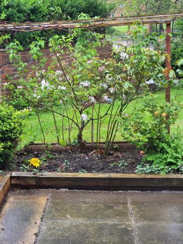 2 Bedroom Cozy Chambers with free parking, Leeds (Foto 6)