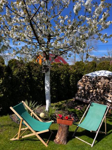 A&R Rewa Apartament