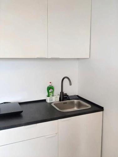 Renovated Apartment for Four, Lublaň (fotografie 6)