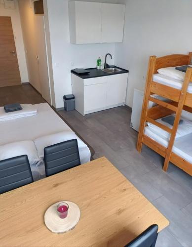 Renovated Apartment for Four, Lublaň (fotografie 7)