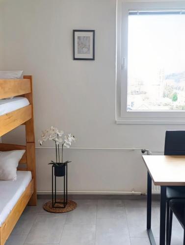 Renovated Apartment for Four, Lublaň (fotografie 8)