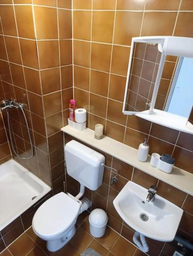 Renovated Apartment for Four, Lublaň (fotografie 9)