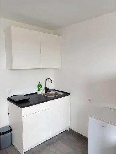 Renovated Apartment for Four, Lublaň (fotografie 10)